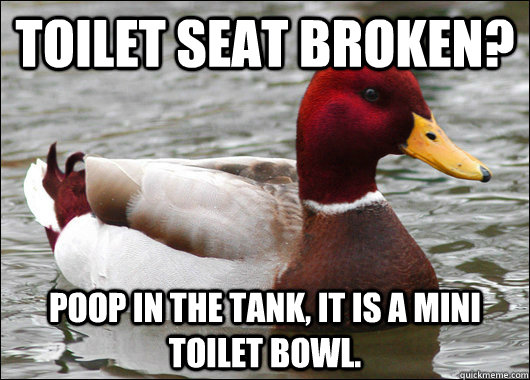 Toilet seat broken? Poop in the tank, it is a mini toilet bowl.  Malicious Advice Mallard