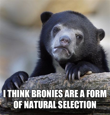  I think Bronies are a form of natural selection  Confession Bear