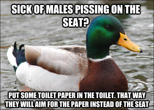 Sick of males pissing on the seat? put some toilet paper in the toilet. That way they will aim for the paper instead of the seat  Actual Advice Mallard