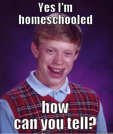 Homeschool stero type - YES I'M HOMESCHOOLED HOW CAN YOU TELL? Bad Luck Brian