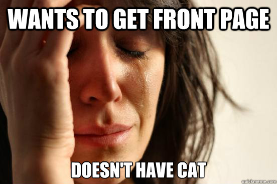 Wants to get front page Doesn't have cat  First World Problems