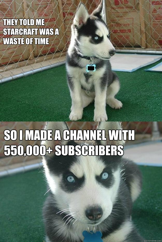 They told me Starcraft was a waste of time So I made a channel with 550,000+ subscribers  Insanity puppy