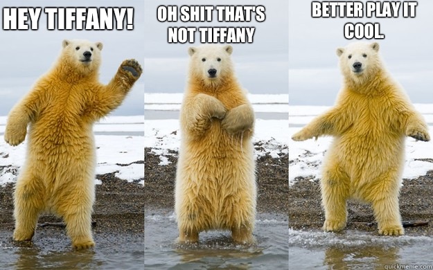 Hey Tiffany! Oh Shit that's not Tiffany Better play it cool.  - Hey Tiffany! Oh Shit that's not Tiffany Better play it cool.   Dancing Polar Bear