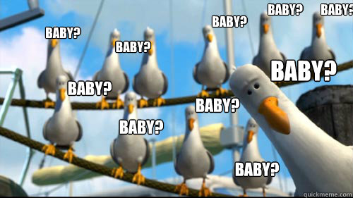 Baby? baby? Baby? baby? baby? baby? baby? baby? baby? baby? - Baby? baby? Baby? baby? baby? baby? baby? baby? baby? baby?  Nemo Seagulls