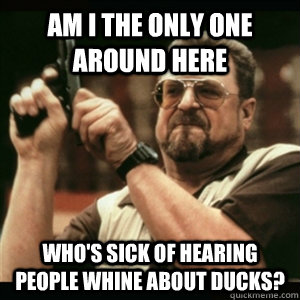 Am i the only one around here Who's sick of hearing people whine about ducks? - Am i the only one around here Who's sick of hearing people whine about ducks?  Am I The Only One Round Here