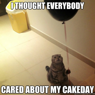 I thought everybody Cared about my cakeday  Sad Birthday Cat