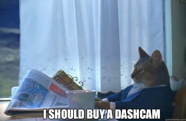 I should buy a dashcam  Sophisticated Cat