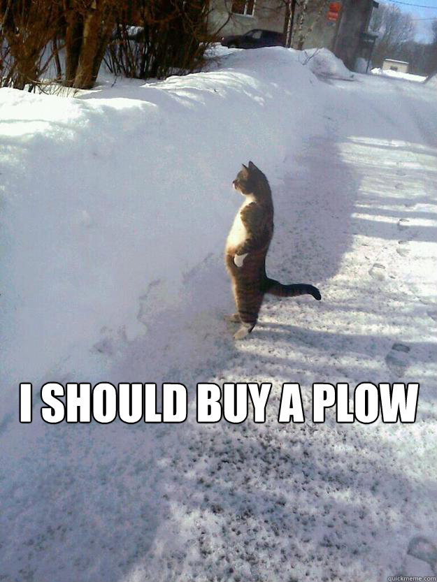  I should buy a plow  CatSnowbank