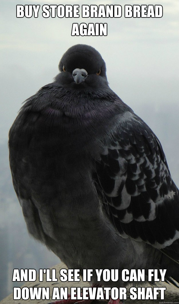 Buy Store Brand Bread Again And I'll see if you can fly down an elevator shaft - Buy Store Brand Bread Again And I'll see if you can fly down an elevator shaft  Mafia Bird
