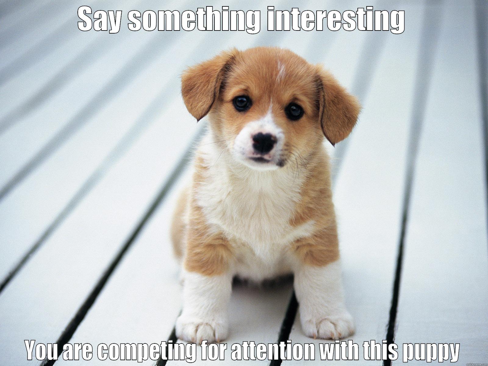 SAY SOMETHING INTERESTING YOU ARE COMPETING FOR ATTENTION WITH THIS PUPPY Misc
