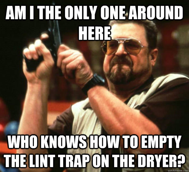 AM I THE ONLY ONE AROUND HERE WHO KNOWS HOW TO EMPTY THE LINT TRAP ON THE DRYER? - AM I THE ONLY ONE AROUND HERE WHO KNOWS HOW TO EMPTY THE LINT TRAP ON THE DRYER?  Am I the only one around here1