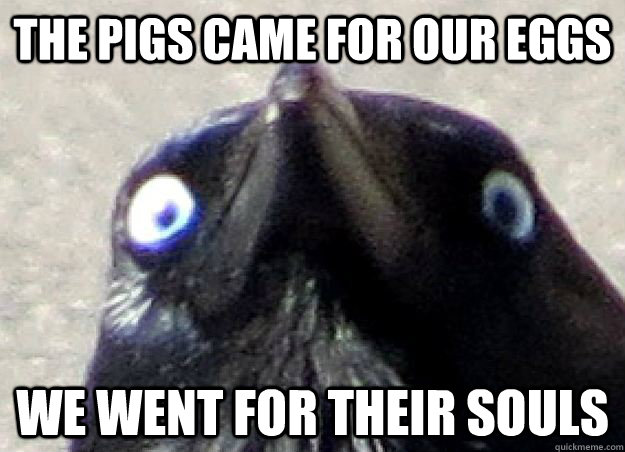 The Pigs came for our eggs We went for their souls  Angry Bird