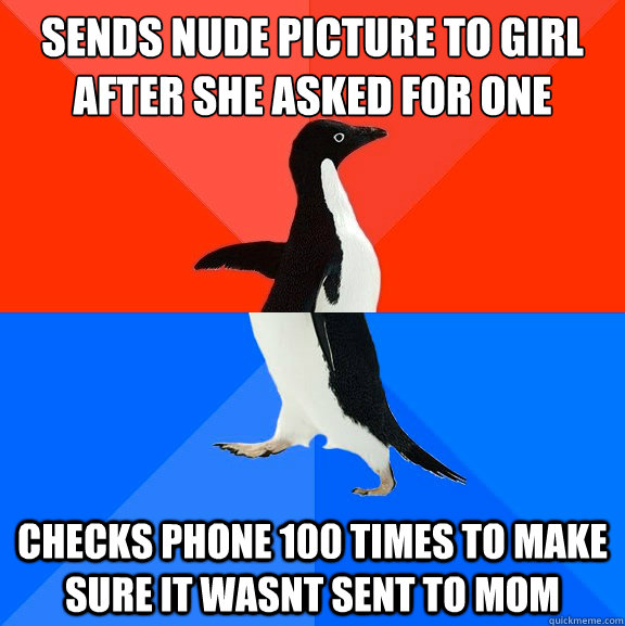 sends nude picture to girl after she asked for one checks phone 100 times to make sure it wasnt sent to mom  Socially Awesome Awkward Penguin