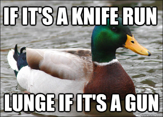 if it's a knife run lunge if it's a gun  Actual Advice Mallard