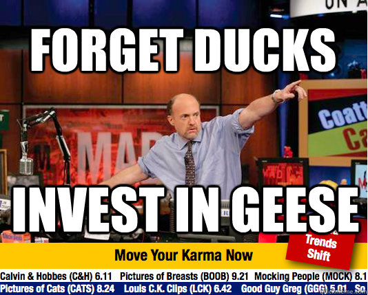 FORGET DUCKS INVEST IN GEESE - FORGET DUCKS INVEST IN GEESE  Mad Karma with Jim Cramer