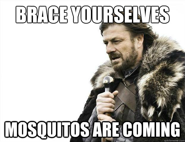 Brace yourselves Mosquitos are coming  Brace Yourselves - Borimir