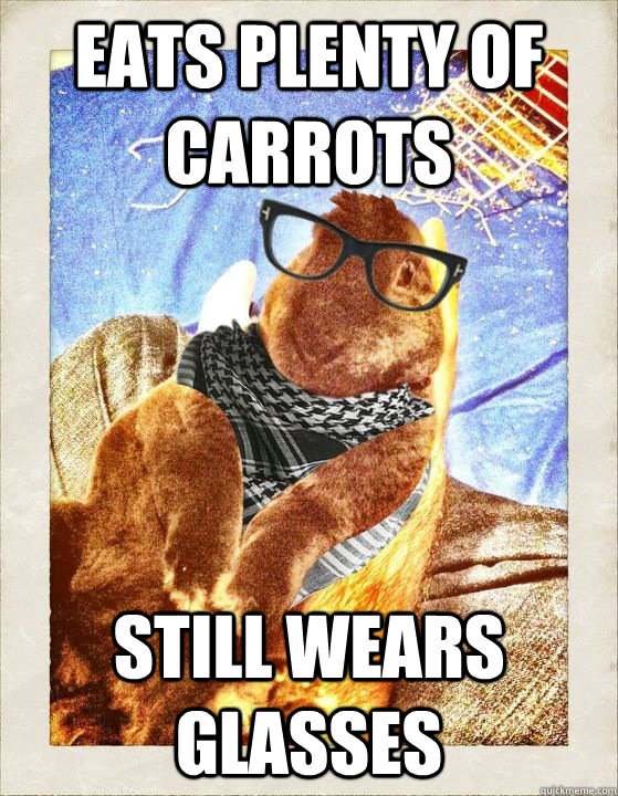 eats plenty of carrots still wears glasses  Hipster Bunny