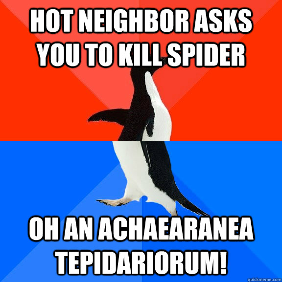hot neighbor asks you to kill spider oh an Achaearanea tepidariorum!  Socially Awesome Awkward Penguin