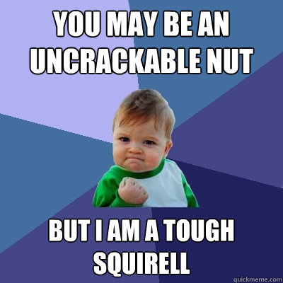 you may be an uncrackable nut But i am a tough squirell  Success Kid