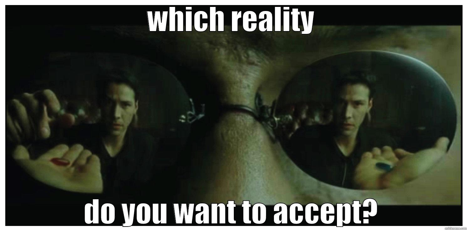 WHICH REALITY DO YOU WANT TO ACCEPT? Misc
