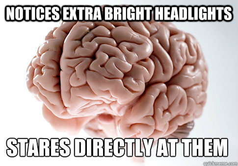 Notices extra bright headlights Stares directly at them  Scumbag Brain