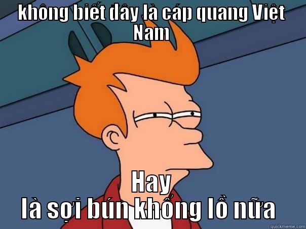 KHÔNG BIẾT ĐÂY LÀ CÁP QUANG VIỆT NAM HAY LÀ SỢI BÚN KHỔNG LỒ NỮA  Futurama Fry