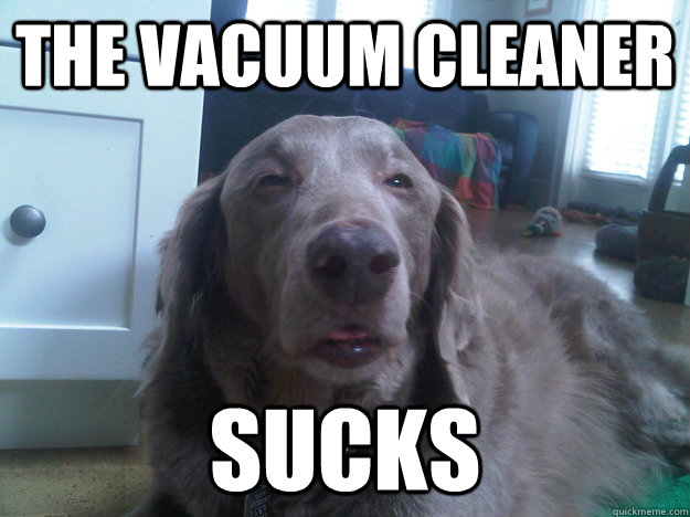 The vacuum cleaner sucks - The vacuum cleaner sucks  10 Dog