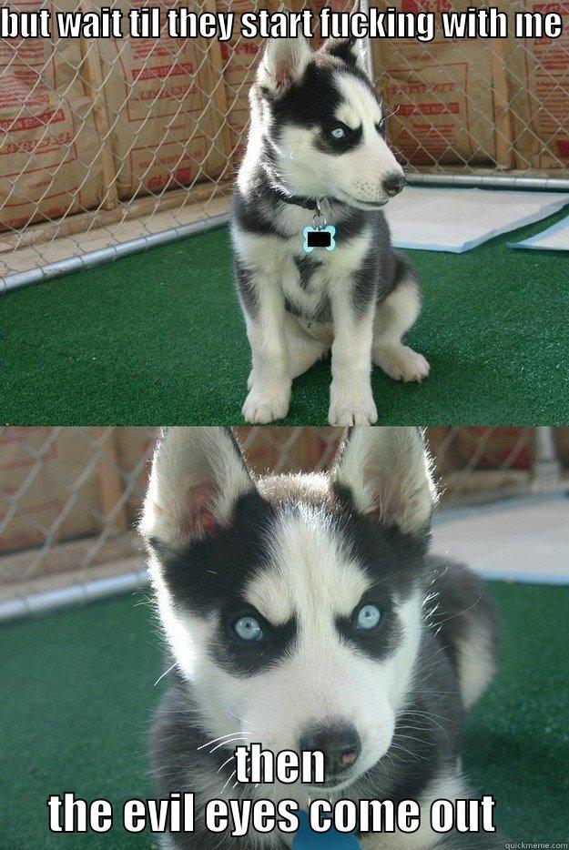 BUT WAIT TIL THEY START FUCKING WITH ME  THEN THE EVIL EYES COME OUT   Insanity puppy
