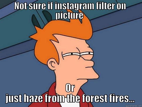 NOT SURE IF INSTAGRAM FILTER ON PICTURE  OR JUST HAZE FROM THE FOREST FIRES... Futurama Fry