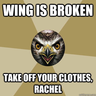 Wing is broken take off your clothes, rachel - Wing is broken take off your clothes, rachel  Bird Boy