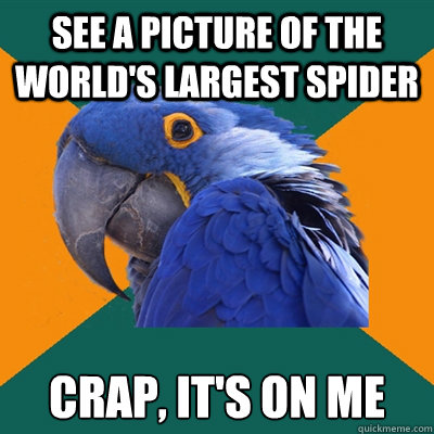 see a picture of the world's largest spider crap, it's on me  Paranoid Parrot