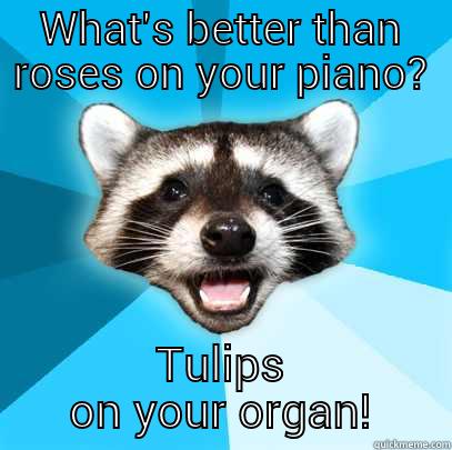 WHAT'S BETTER THAN ROSES ON YOUR PIANO? TULIPS ON YOUR ORGAN! Lame Pun Coon