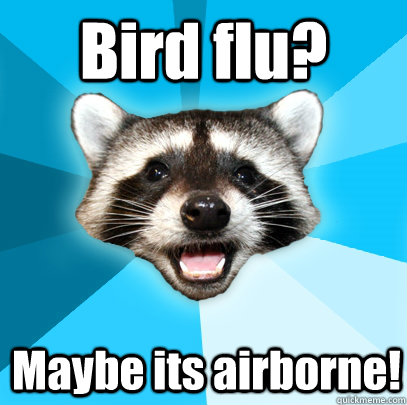 Bird flu? Maybe its airborne!  Lame Pun Coon