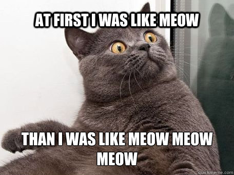 At first i was like meow than I was like Meow Meow meow  conspiracy cat