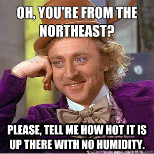 Oh, you're from the NorthEast?
 Please, tell me how hot it is up there with no humidity.   Condescending Wonka