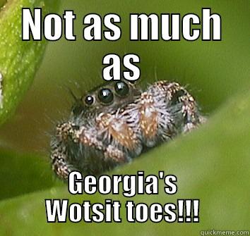 TOO SCARY - NOT AS MUCH AS GEORGIA'S WOTSIT TOES!!! Misunderstood Spider