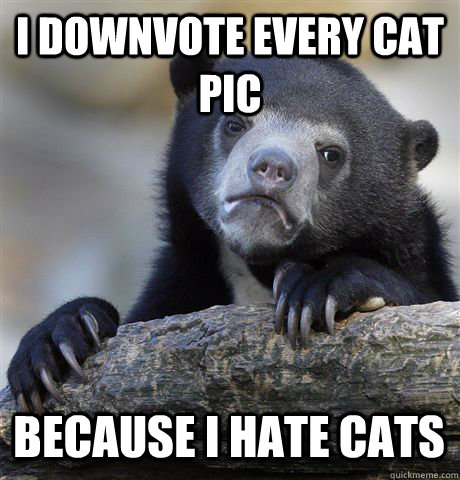I DOWNVOTE EVERY CAT PIC BECAUSE I HATE CATS - I DOWNVOTE EVERY CAT PIC BECAUSE I HATE CATS  Confession Bear