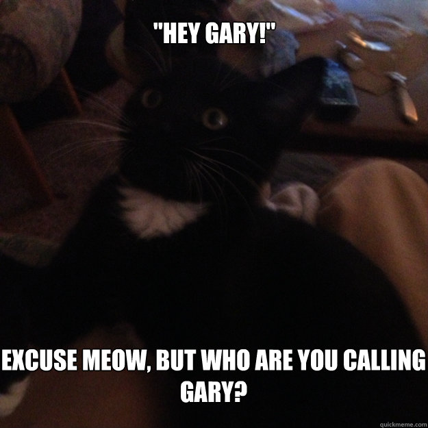  Excuse meow, but who are you calling Gary? 