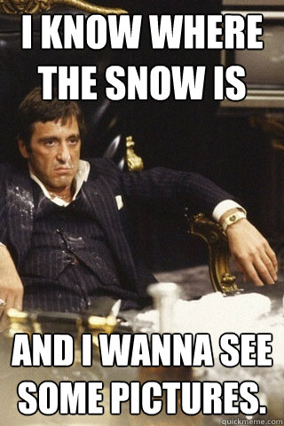 I know where the snow is and i wanna see some pictures. - I know where the snow is and i wanna see some pictures.  Tony montana cocaine