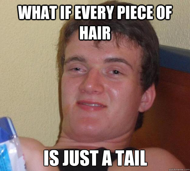 what if every piece of hair is just a tail  10 Guy