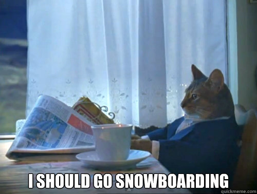  I should go snowboarding  The One Percent Cat