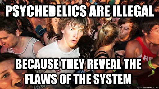 psychedelics are illegal because they reveal the flaws of the system  - psychedelics are illegal because they reveal the flaws of the system   Sudden Clarity Clarence