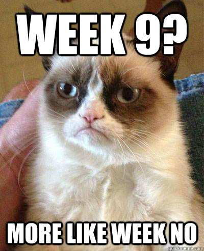 Week 9? more like week no - Week 9? more like week no  Week 9 Angry Cat