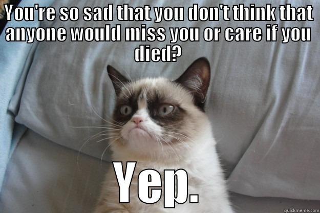YOU'RE SO SAD THAT YOU DON'T THINK THAT ANYONE WOULD MISS YOU OR CARE IF YOU DIED? YEP. Grumpy Cat