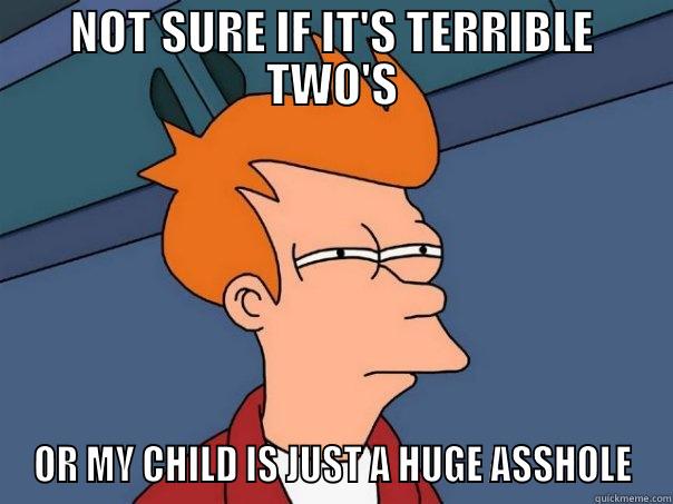 NOT SURE IF IT'S TERRIBLE TWO'S OR MY CHILD IS JUST A HUGE ASSHOLE Futurama Fry