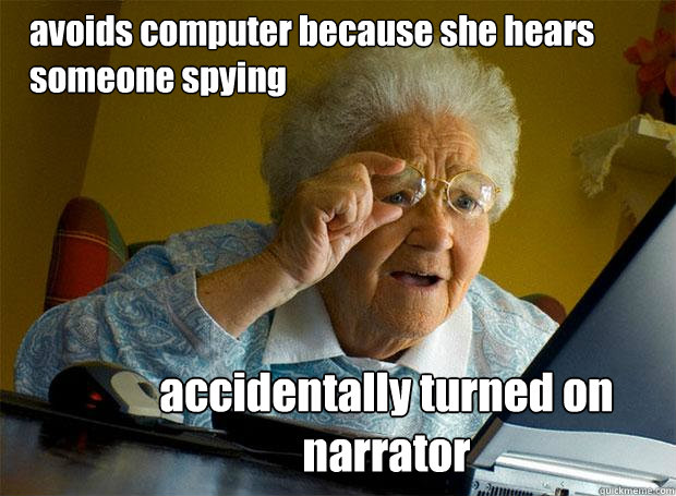 avoids computer because she hears someone spying accidentally turned on narrator  Grandma finds the Internet