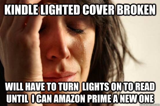 Kindle Lighted Cover Broken Will have to turn  lights on to read until  I can amazon prime a new one  First World Problems