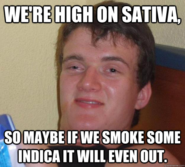 we're high on sativa, so maybe if we smoke some indica it will even out.  10 Guy