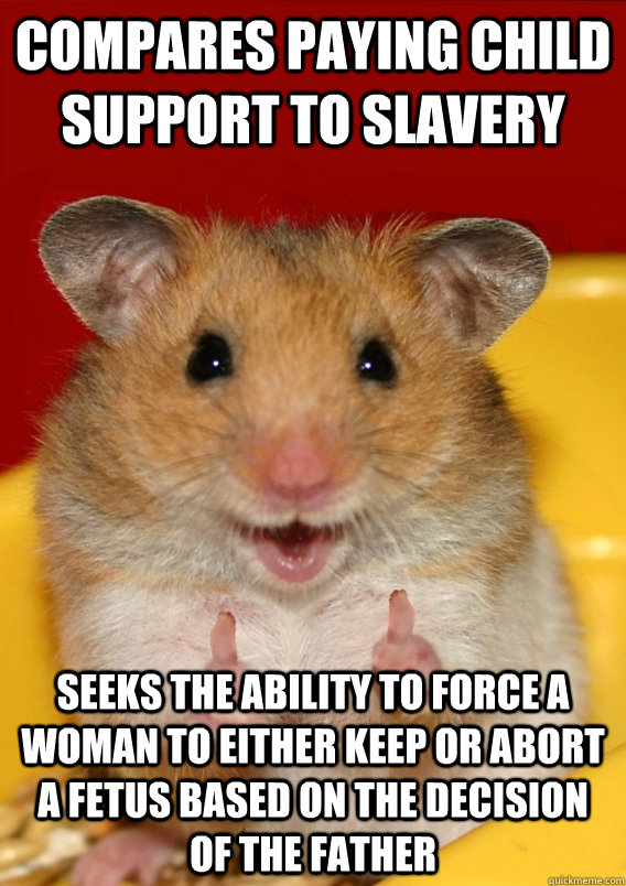 Compares paying child support to slavery Seeks the ability to force a woman to either keep or abort a fetus based on the decision of the father   Rationalization Hamster