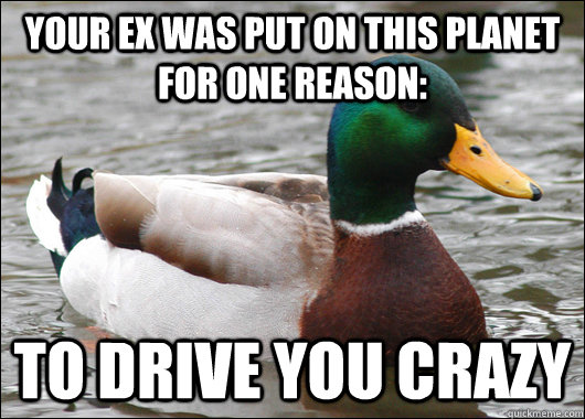 your ex was put on this planet for one reason: to drive you crazy  Actual Advice Mallard